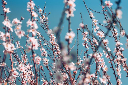 昆玉市杏花沟实景图片