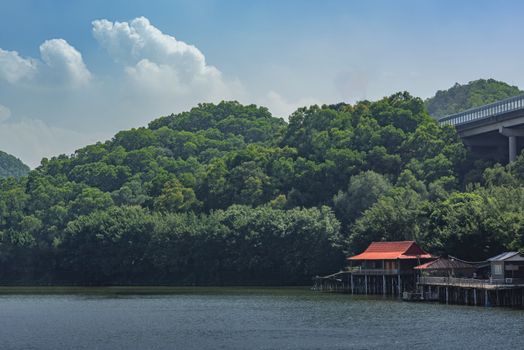 胜溪湖森林公园实景图片