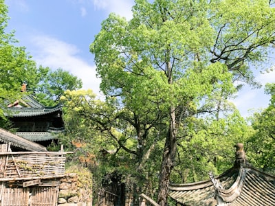 小桂林实景图片