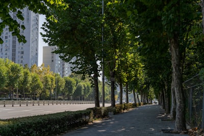 南滨路实景图片