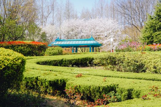 吉林市植物园