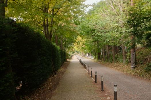 梨木台实景图片
