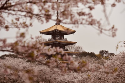 禅房寺塔周边环境实景图