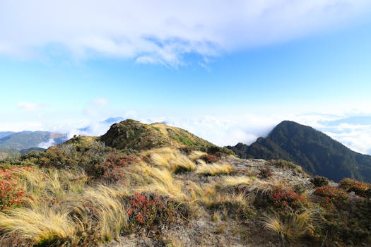 东浮化山实景图片