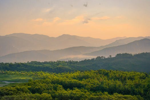 六十二团生态林场丘陵全景
