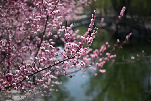 桃林口水库景区旅游图片