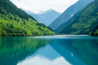 青龙潭景区湖畔绿树