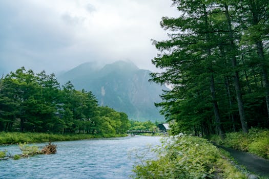 白马寺山森林公园实景图片