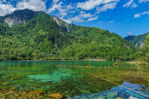 李寨风景区实景图片
