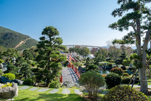 南山植物园旅游图片
