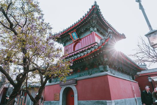 鸿恩寺公园旅游图片