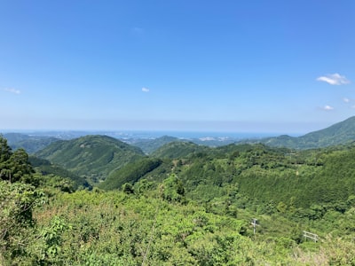 东岳山旅游图片
