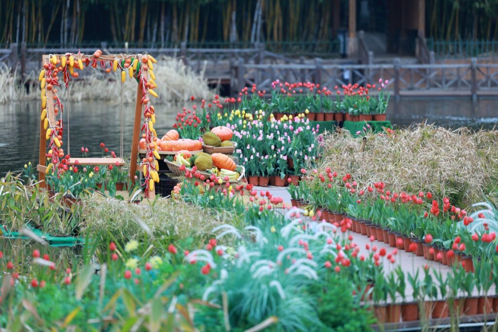 临沂动植物园旅游图片