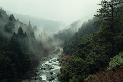 五指山热带雨林溯溪旅游图片