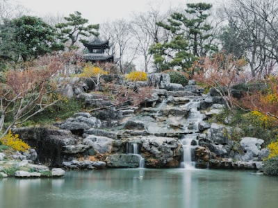 千年核桃园实景图片