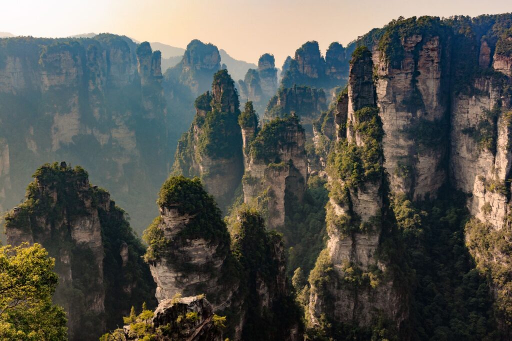 哀牢山国家级自然保护区旅游图片
