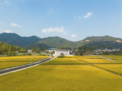 小佐梯田旅游图片