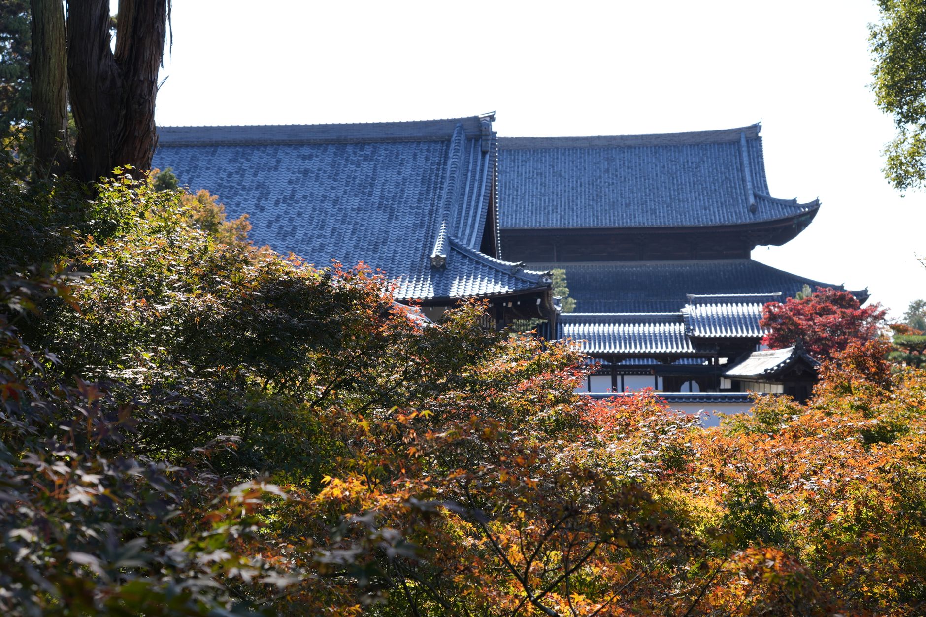 明月禅寺
