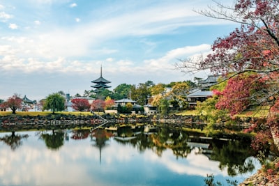 池州市杏花村古井