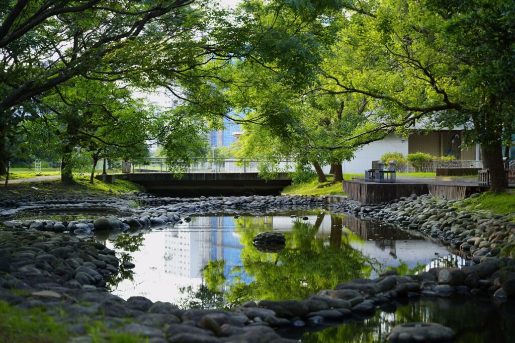 石嘴子公园