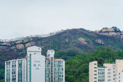 芝山红楼