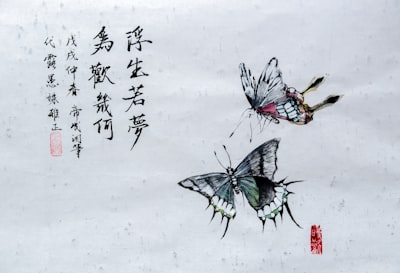 蝴蝶楼旅游图片