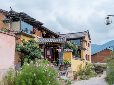 顾家善村旅游图片