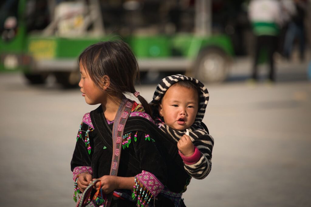 龙船水乡旅游图片