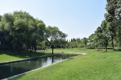 贵德黄河清湿地公园