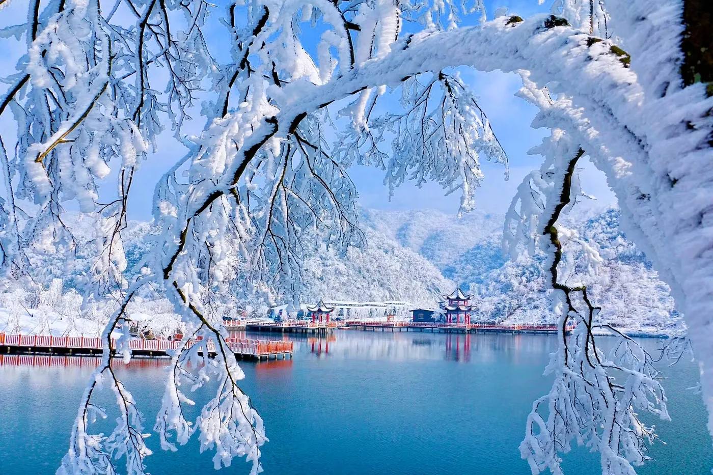 桐子坳风景图片