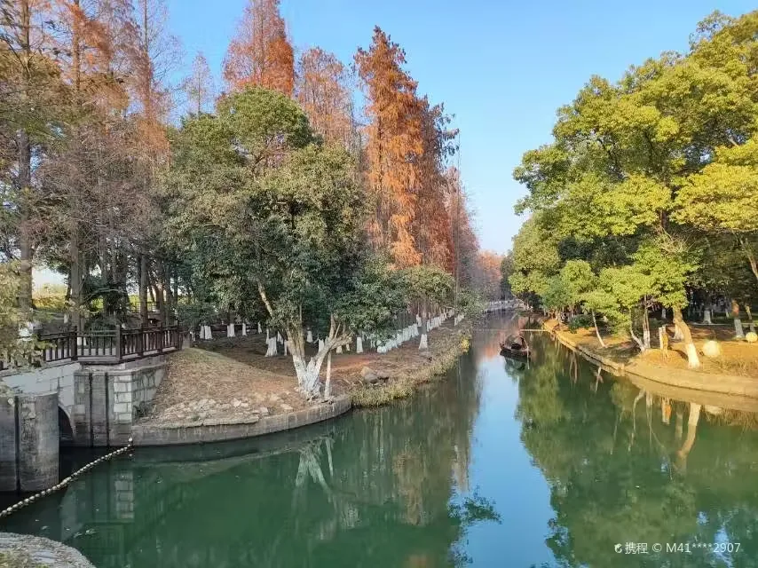 中坡国家森林公园实景图片