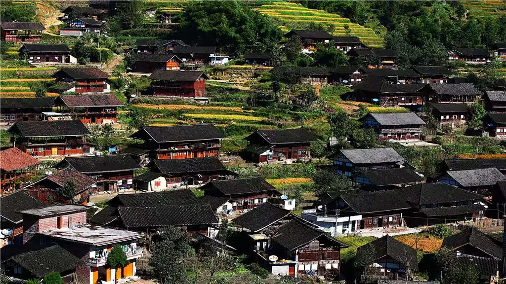 紫鹊界梯田景区风景图片