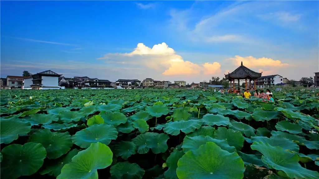浦市古镇实景图片