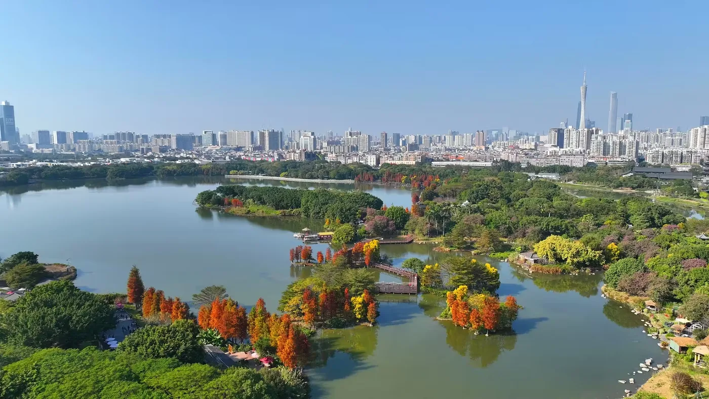 海珠国家湿地公园实景图片