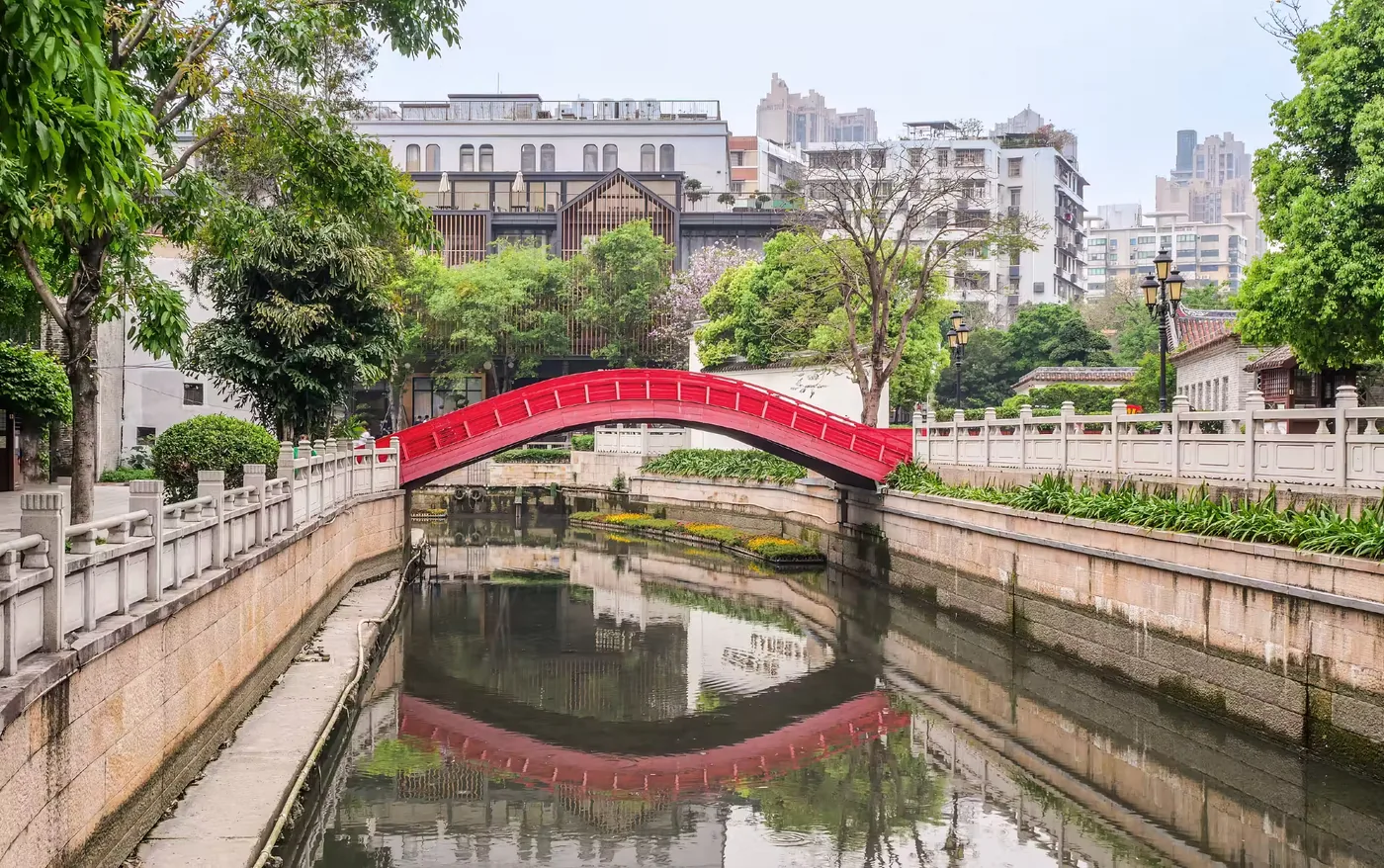 荔枝湾涌实景图片