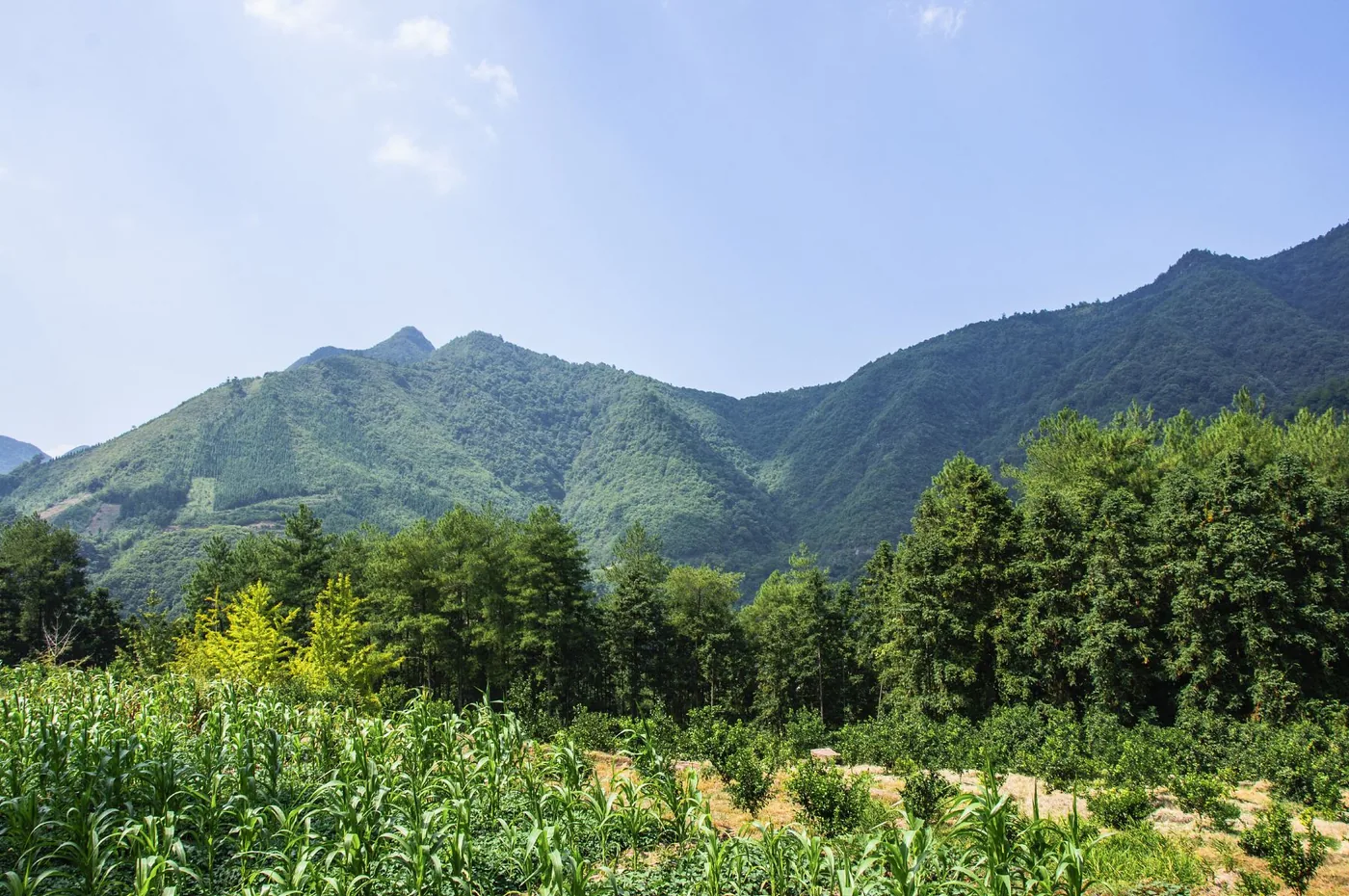 南岭国家森林公园风景图片