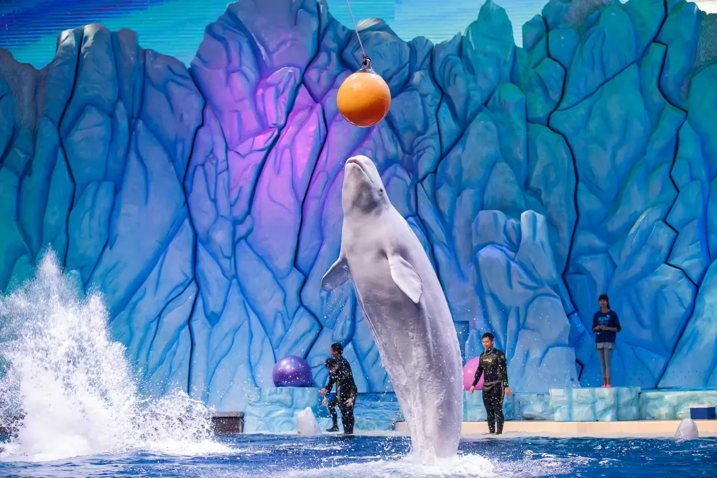 珠海长隆海洋王国风景图片
