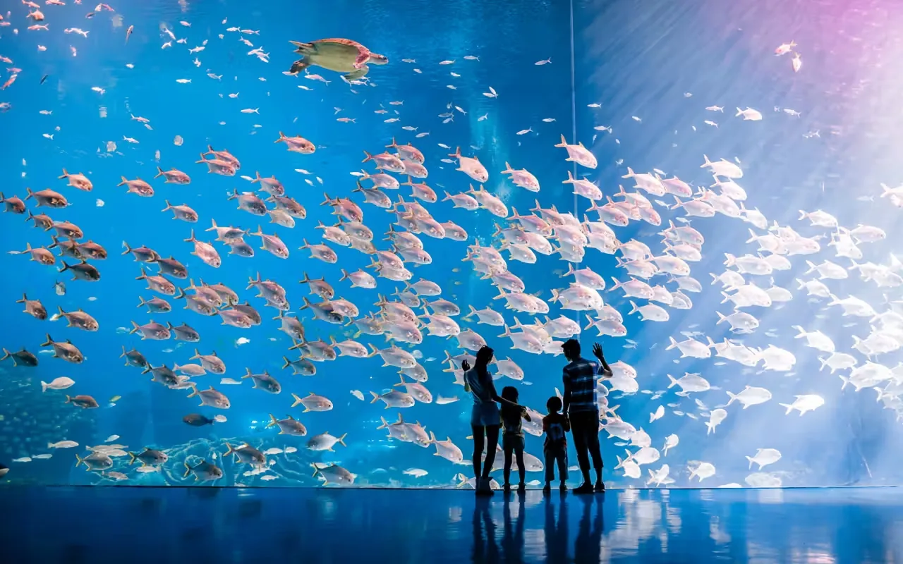 珠海长隆海洋王国风景图片