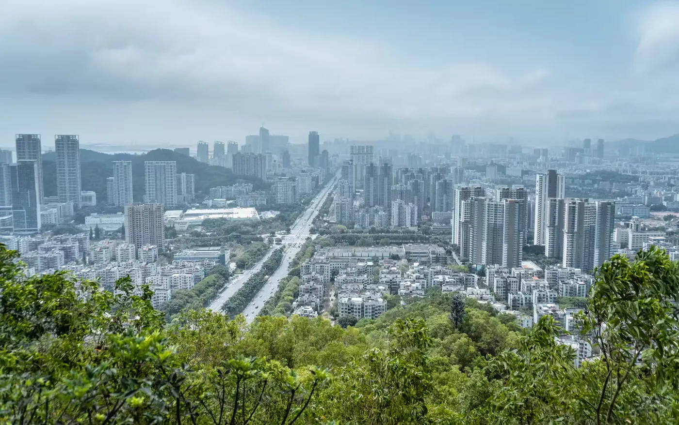 板樟山森林公园实景图片
