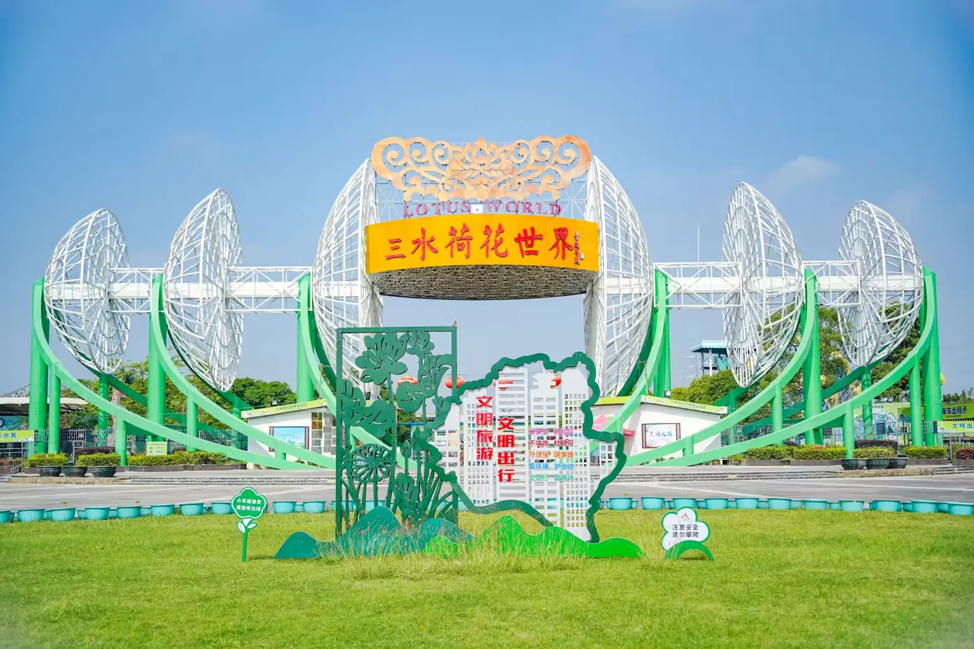 三水荷花世界实景图片