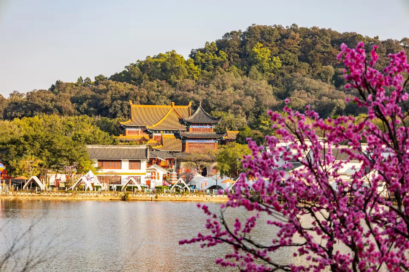 南国桃园实景图片