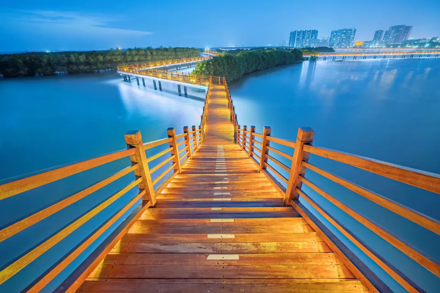 水东湾红树林自然保护区实景图片