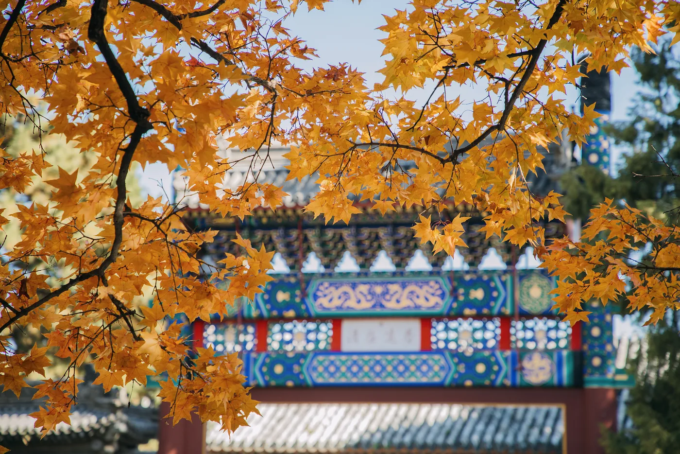 香山公园风景图片