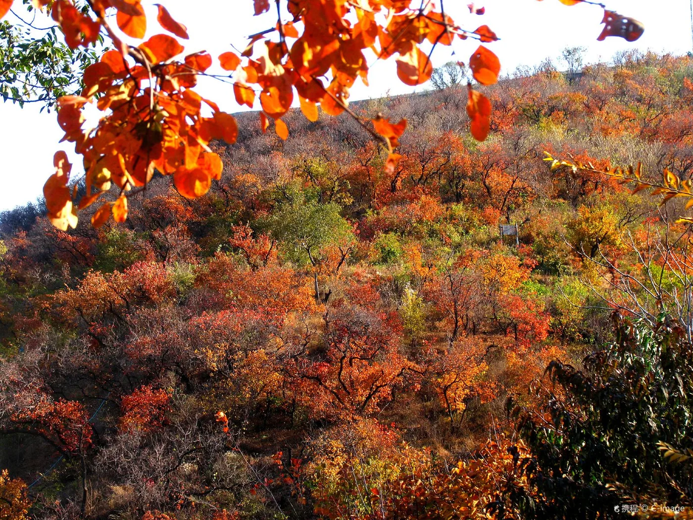 香山公园风景图片