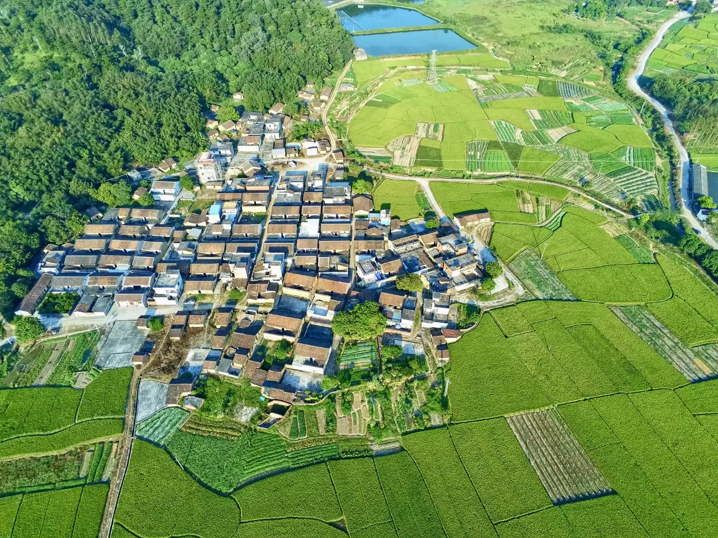 四会奇石河景区实景图片