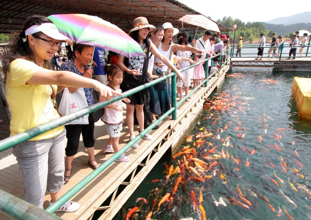 万绿湖风景图片