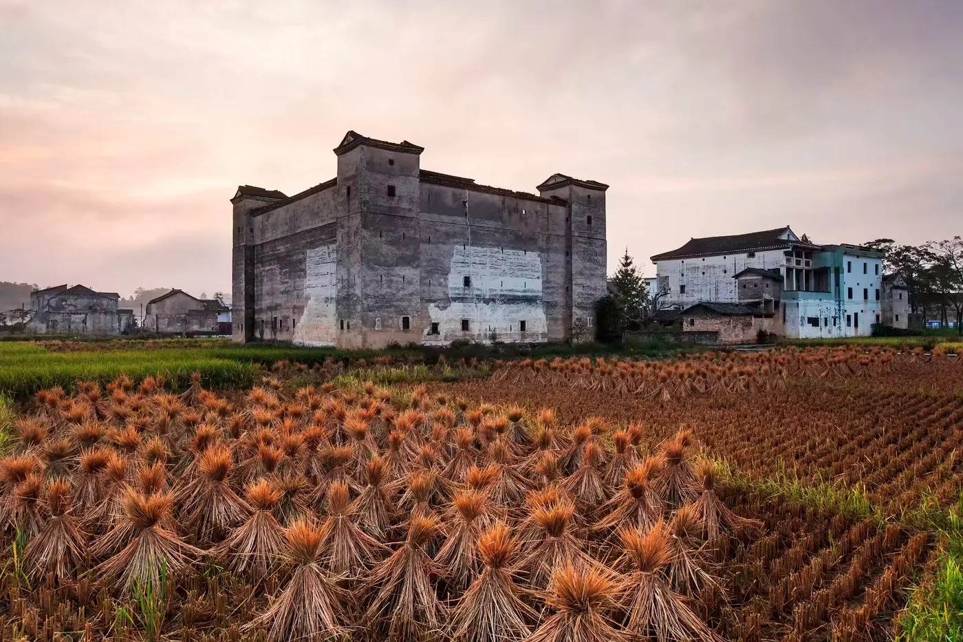 河源恐龙博物馆风景图片