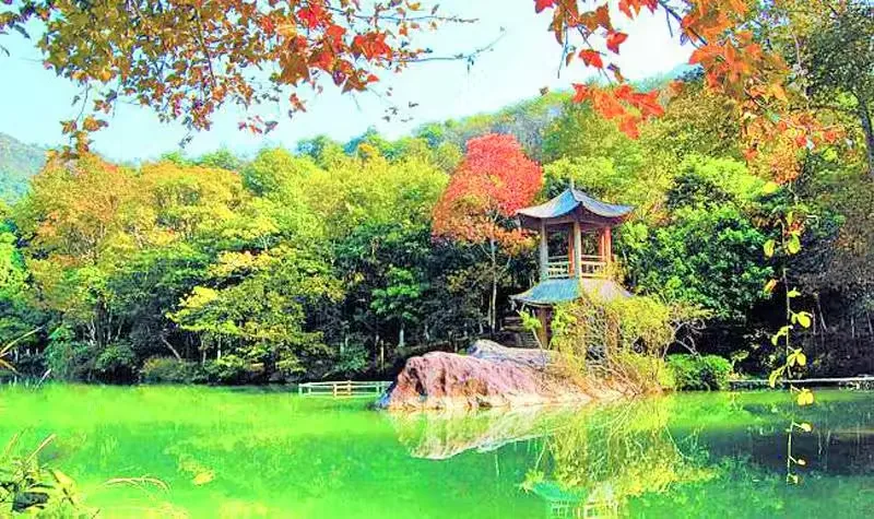 野趣沟实景图片