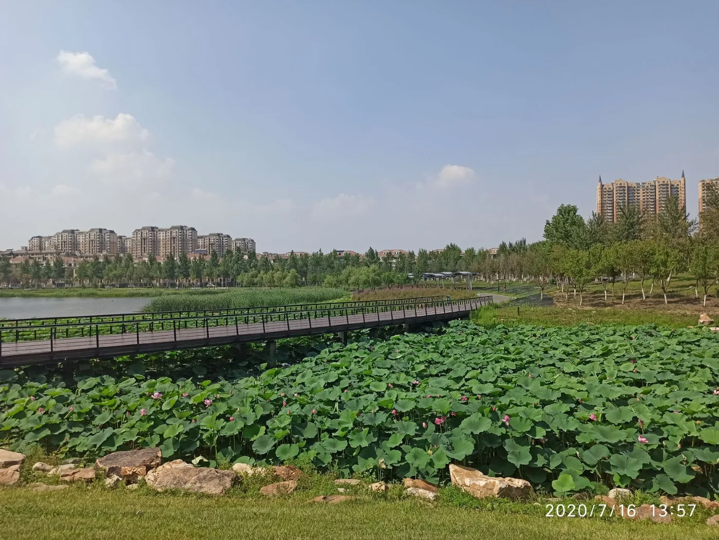 南溪湿地公园实景图片