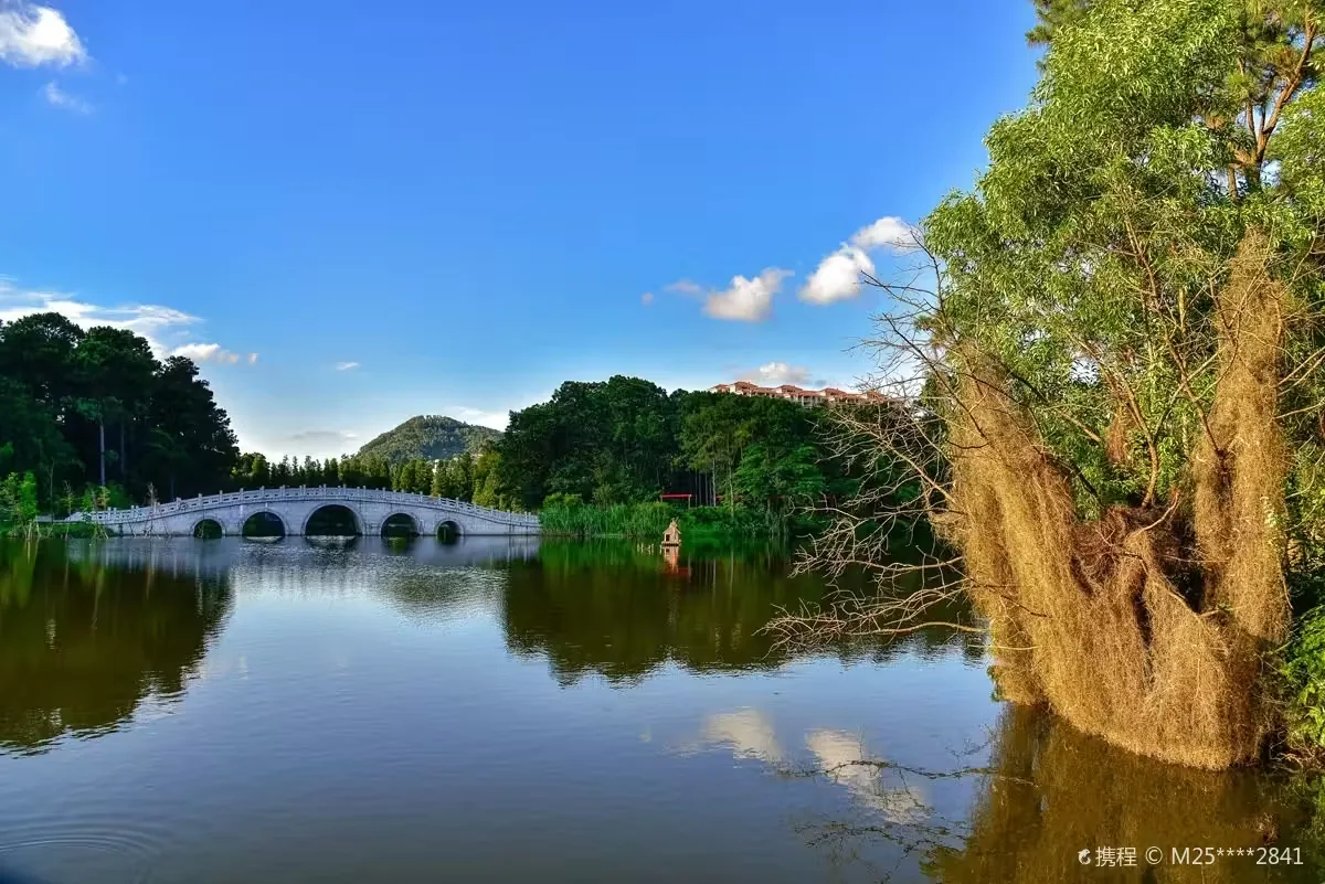 金山植物公园实景图片